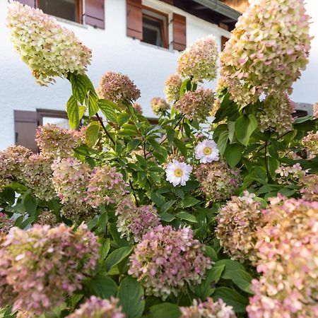 Ferienwohnung Alpenglueck Марктшеленберг Екстериор снимка